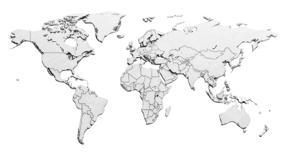 map chilled yellow bird